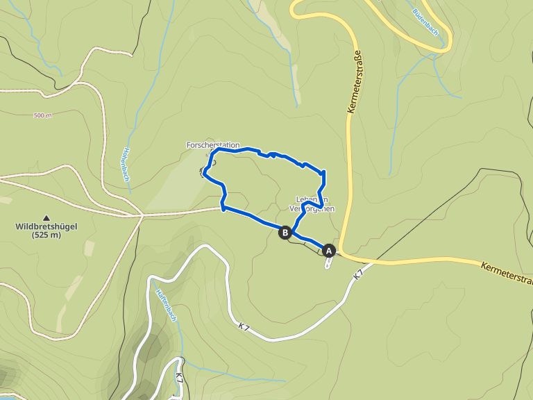 Wilder Kermeter👩‍👧‍👦🦋🪲🪵 Wanderung Komoot